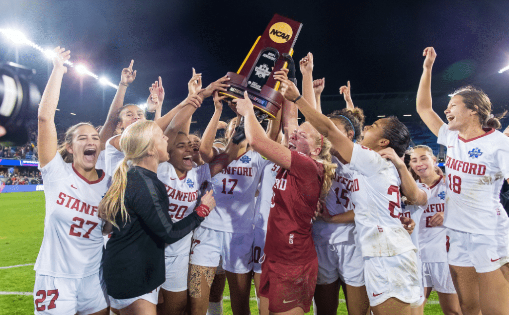 规划属于自 规划属于自