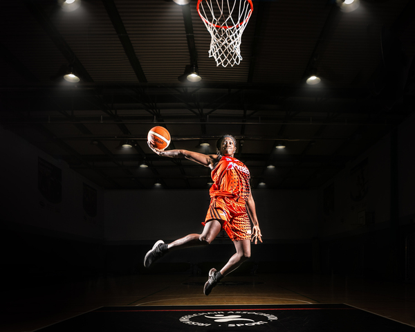 展提供了新 展提供了新