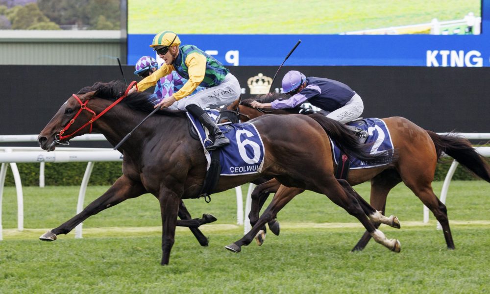 只要愿意成 只要愿意成